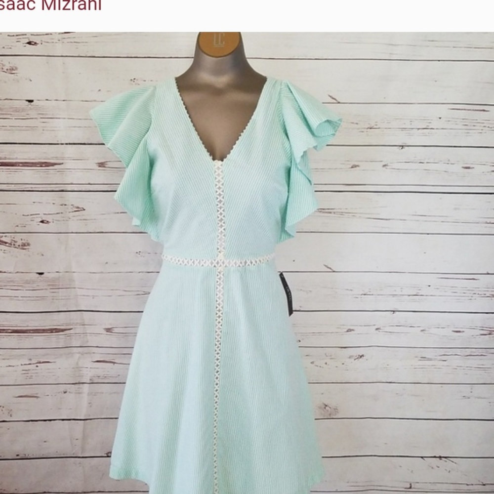 Isaac Mizrahi Mint Striped Dress Ruffle Sleeves